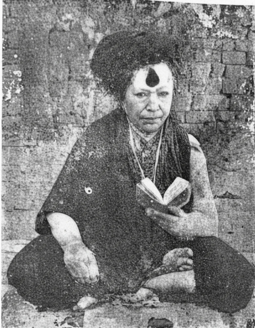 संस्था के सदस्य